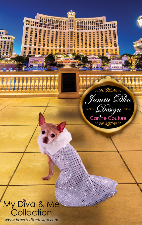 Beverly Hills Chihuahua Chloe Clothes