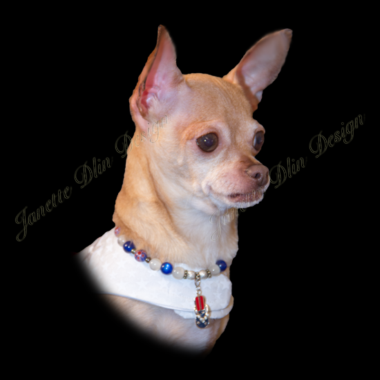 Fourth of July Necklace - Janette Dlin Design - Dog Necklace