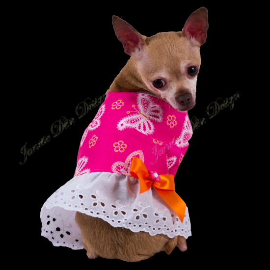 Spring Butterfly Top  - Janette Dlin Design - Dog Dress