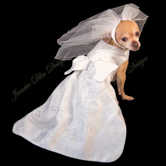 Yes, I Do!! Wedding Dress - Janette Dlin Design - Dog Dress and Veil