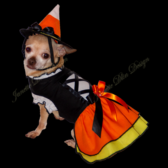 Halloween Witch Dog Dress - Janette Dlin Design