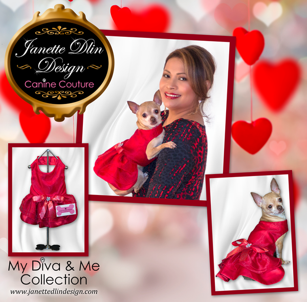 Forever Red Dress - Janette Dlin Design - Valentine Dog Dress