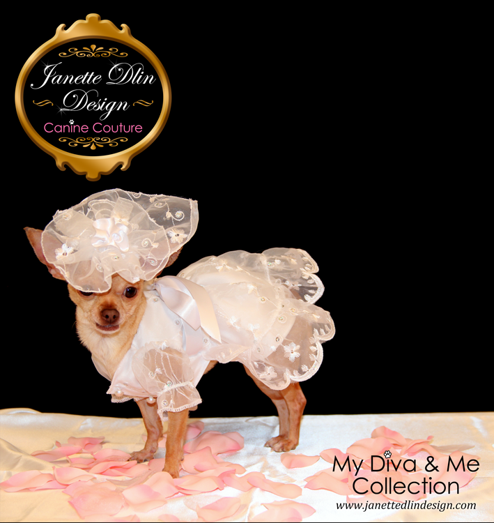 Elegant Dog Wedding Dress – Janette Dlin Design