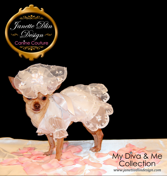 Elegant Dog Wedding Dress - Janette Dlin Design