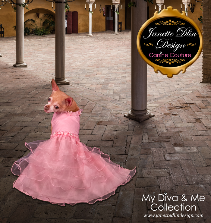 Pink Princess Dress – Janette Dlin Design